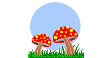 Съедобные и несъедобные грибы в картинках с названиями для детей