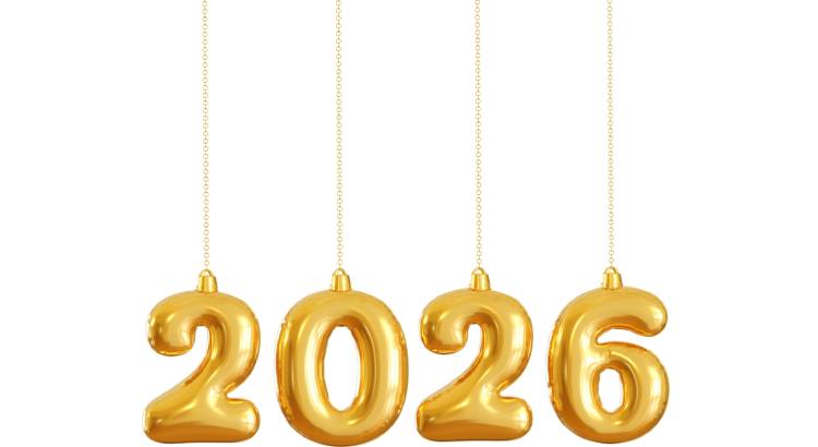 Новогодние Шары 2026