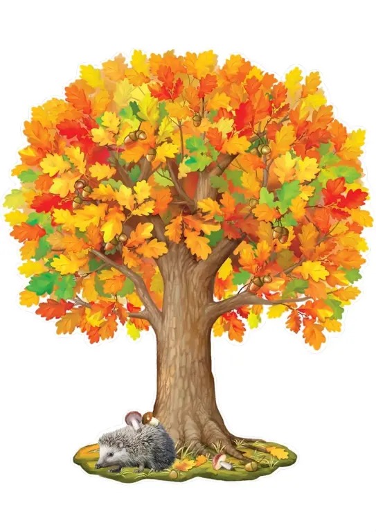 Разрезной Плакат Осеннее Дерево